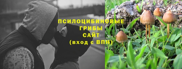 ALPHA PVP Аркадак