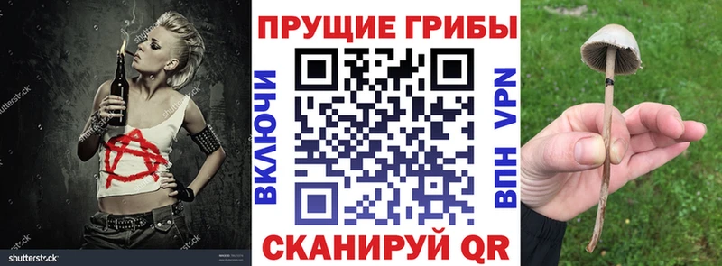 Псилоцибиновые грибы ЛСД  Удачный 